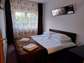 Casa Camely Busteni Buşteni